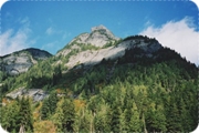 scan5